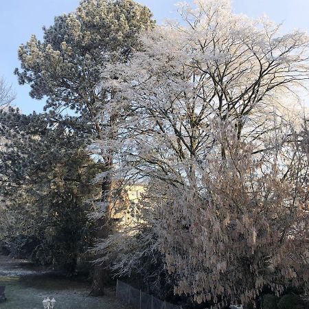 Le Jardin De Fresnes Bed and Breakfast Eksteriør billede