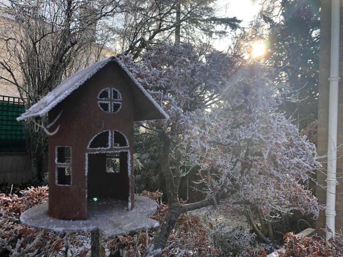 Le Jardin De Fresnes Bed and Breakfast Eksteriør billede